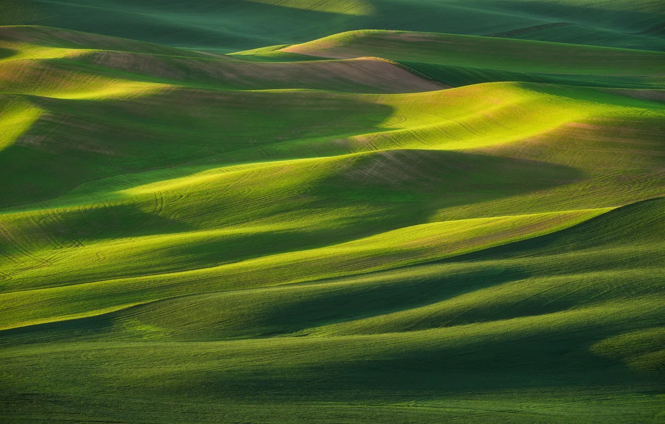 Photo wallpaper hills, field, Spring, morning