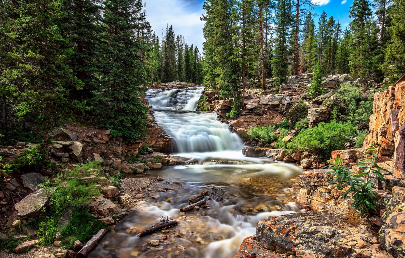 Photo wallpaper forest, nature, river