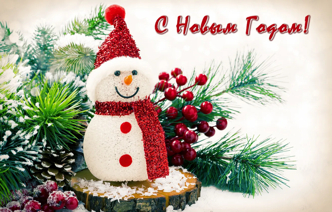 Photo wallpaper berries, holiday, hat, scarf, snowman, bump, pine