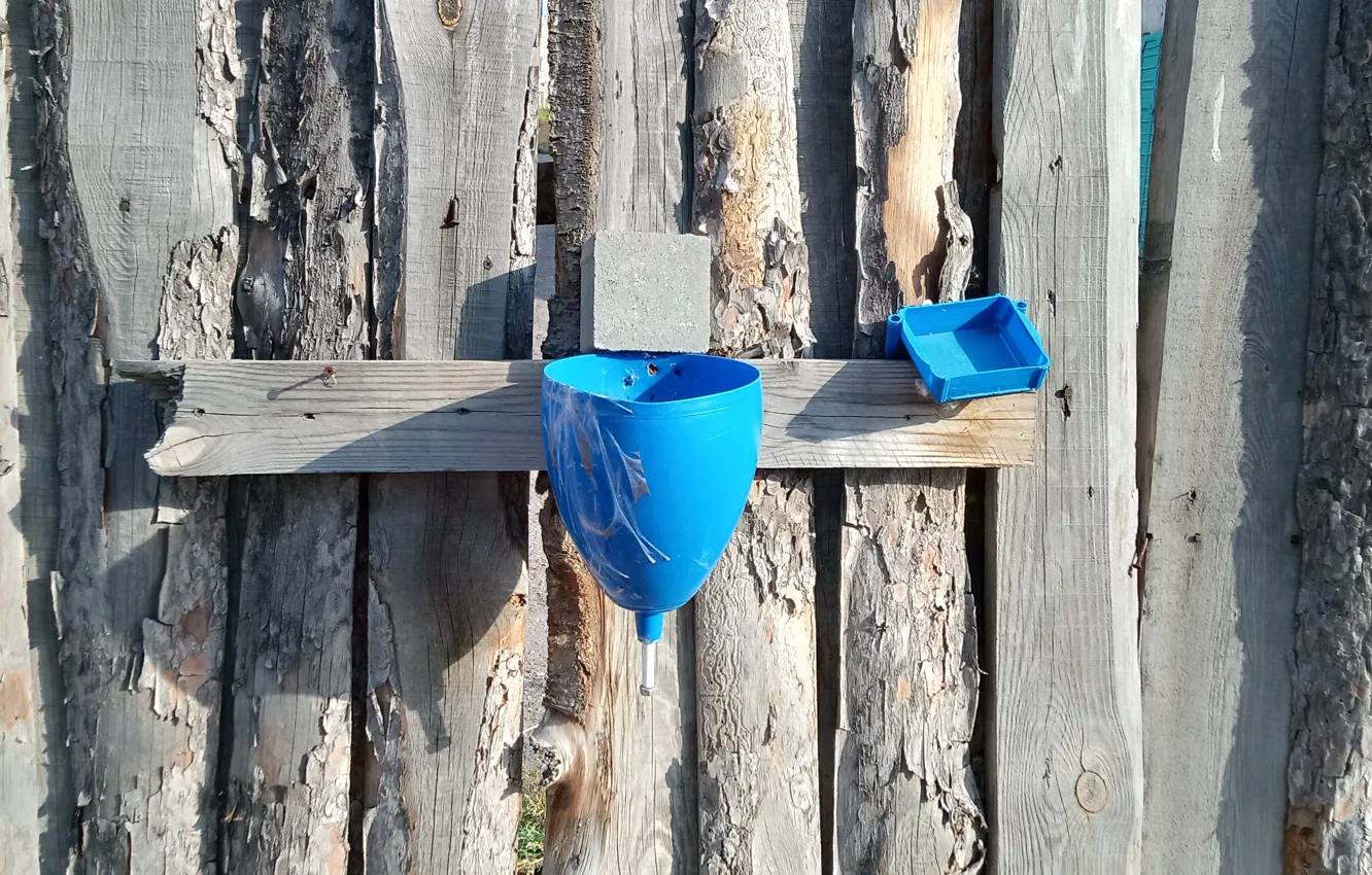 Photo wallpaper trees, the fence, sink, plastic