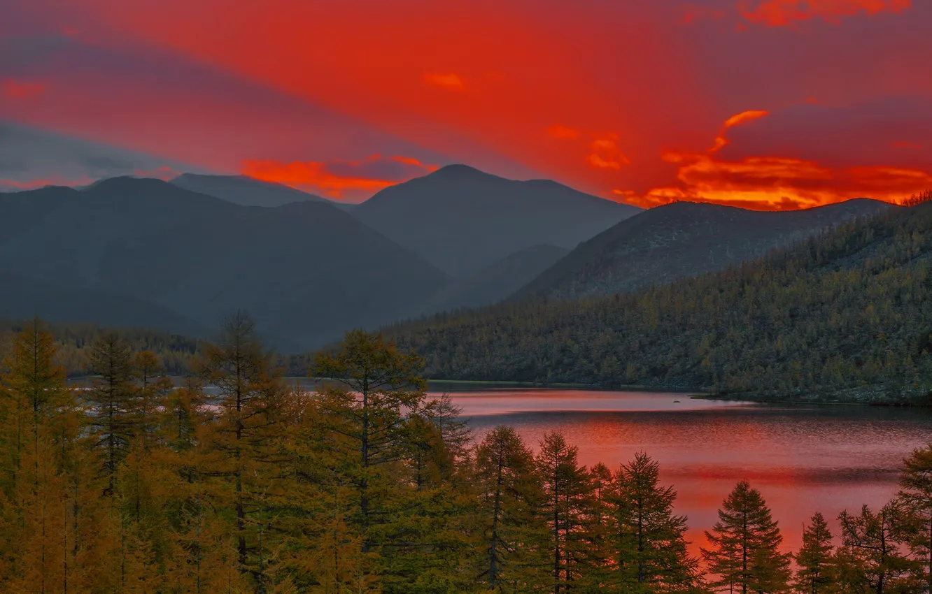 Photo wallpaper forest, landscape, mountains, nature, dawn, morning, Vladimir Ryabkov, Kolyma