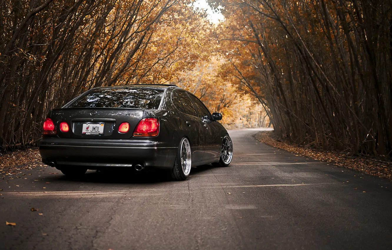 Photo wallpaper road, autumn, trees, lexus, ass, gs300