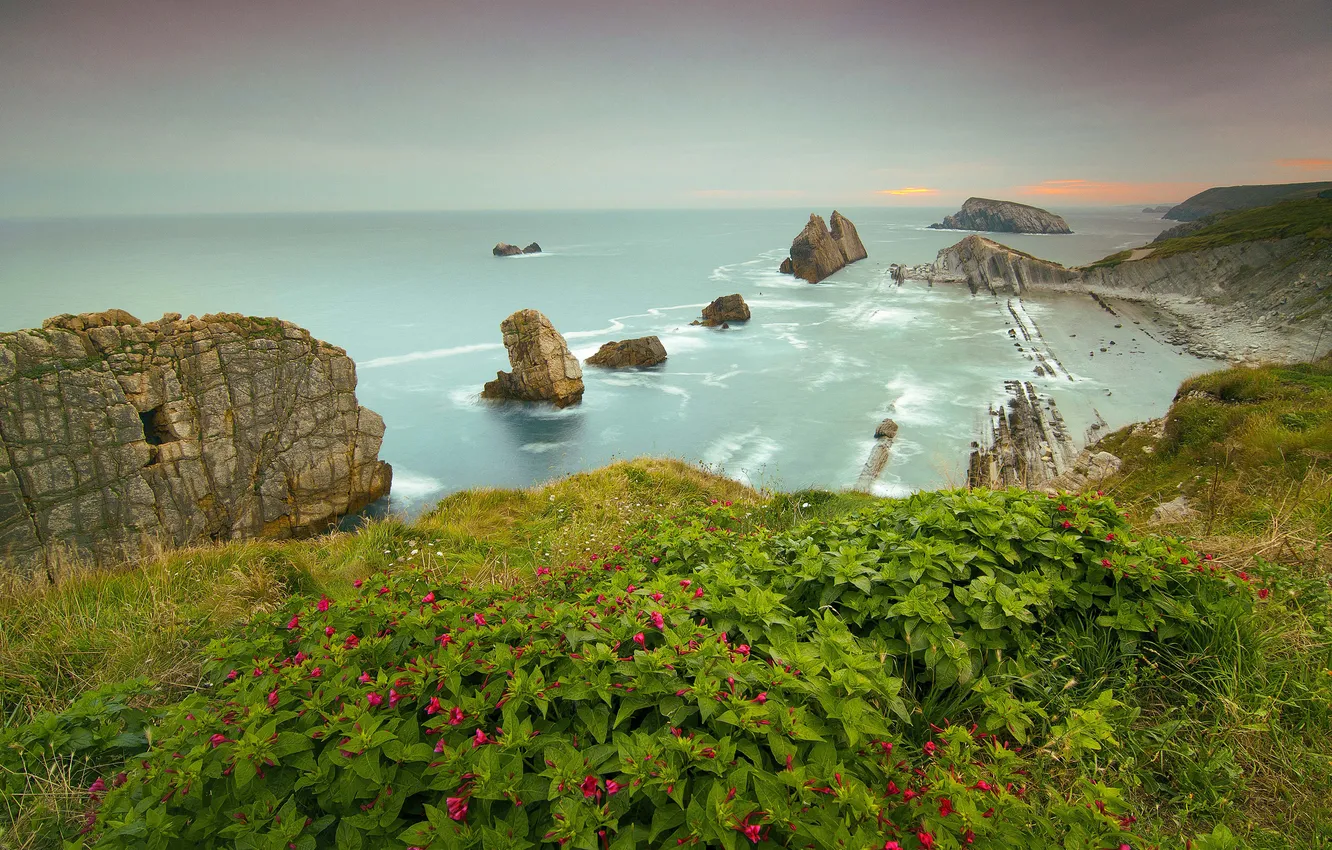Photo wallpaper sea, the sky, clouds, flowers, stones, rocks