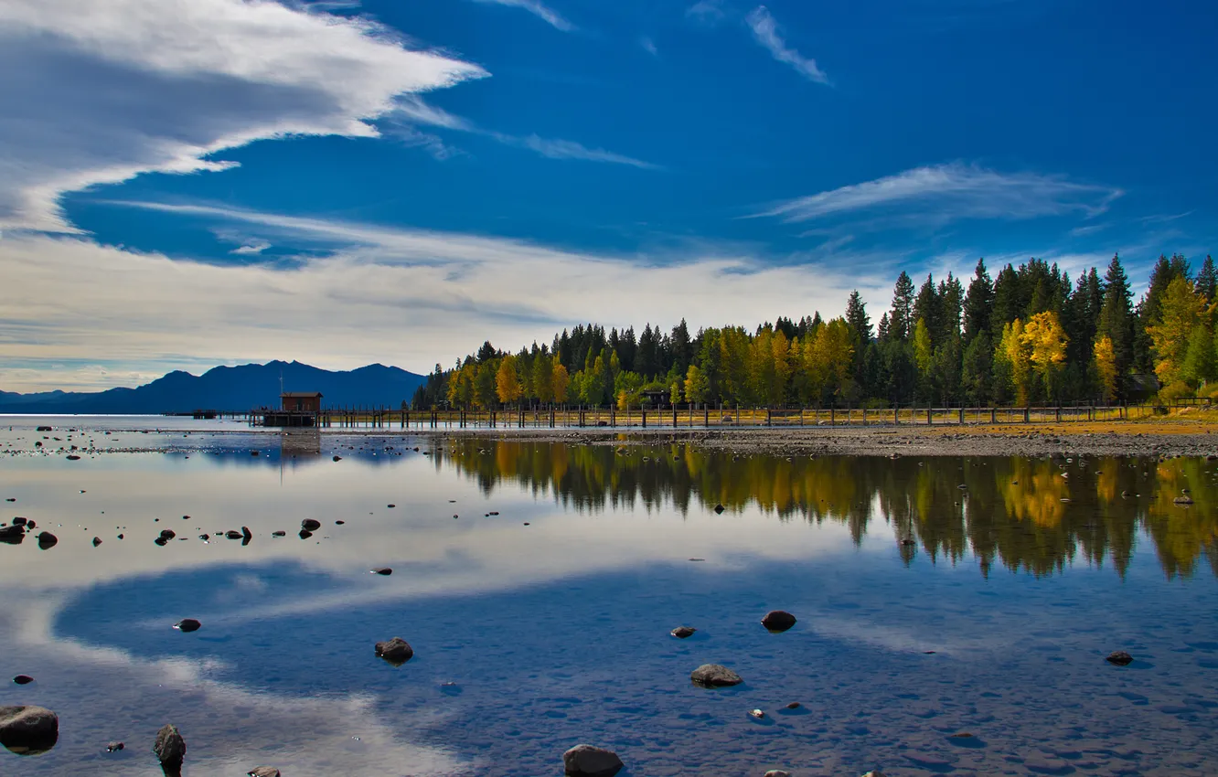 Photo wallpaper forest, the sky, trees, lake, stones