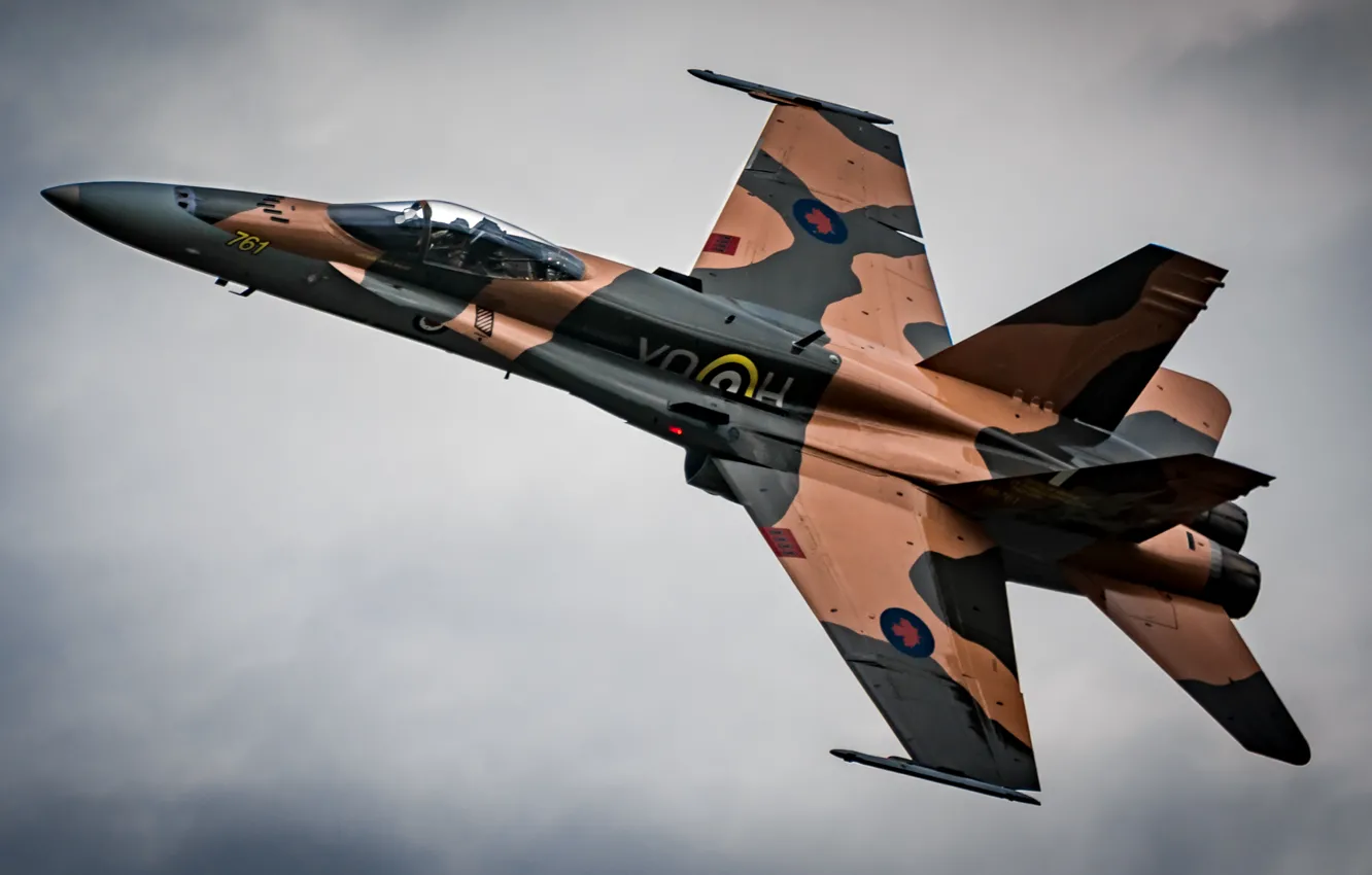 Photo wallpaper fighter, multipurpose, Hornet, "Hornet", CF-18