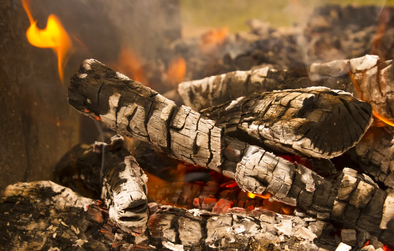 Photo wallpaper nature, fire, wood, out of the city, kebabs