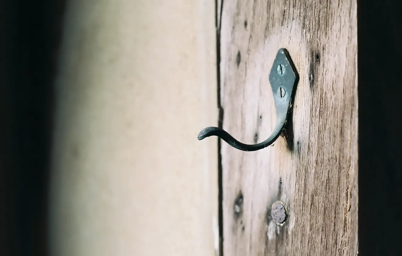 Photo wallpaper macro, background, hanger