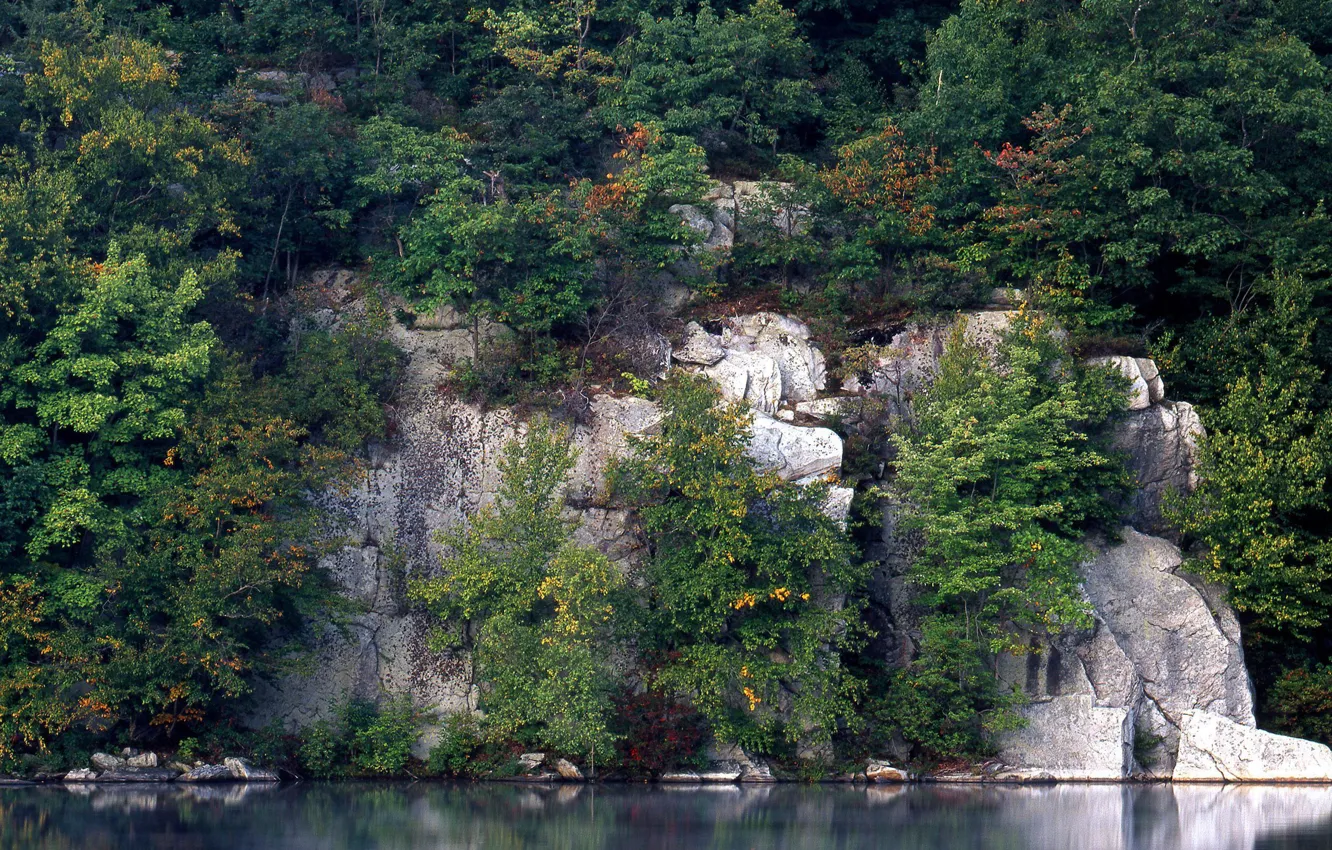 Photo wallpaper water, trees, reflection, rocks