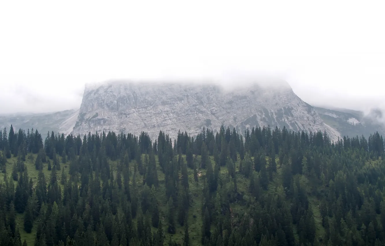 Photo wallpaper clouds, mountains, Austria, pine, Bichlbach