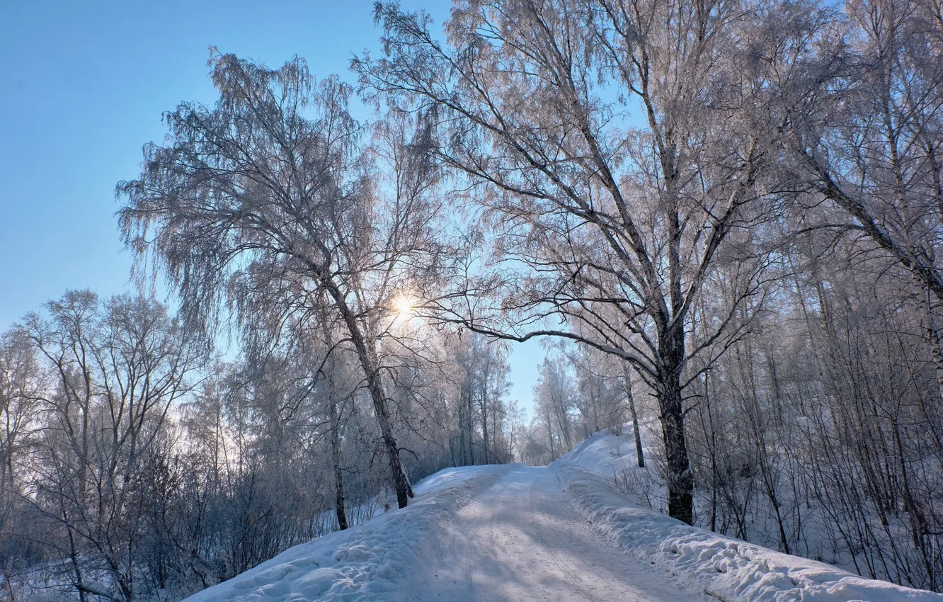 Photo wallpaper winter, road, snow, trees, dam