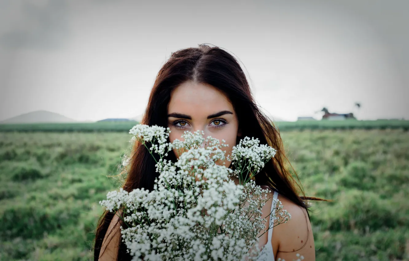 Photo wallpaper field, eyes, flowers, face, look, beautiful girl