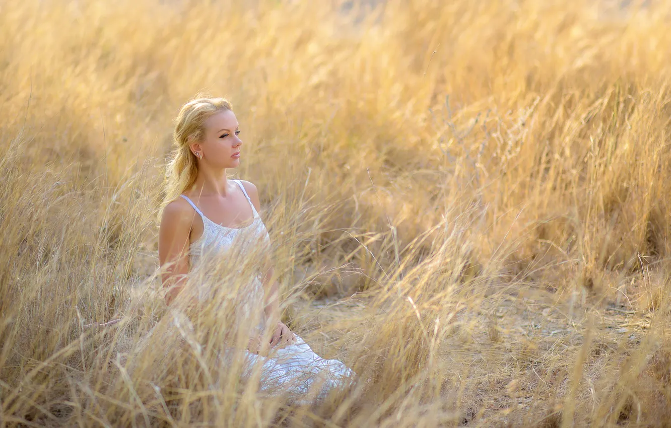 Photo wallpaper field, grass, girl, Fifty shades of yellow