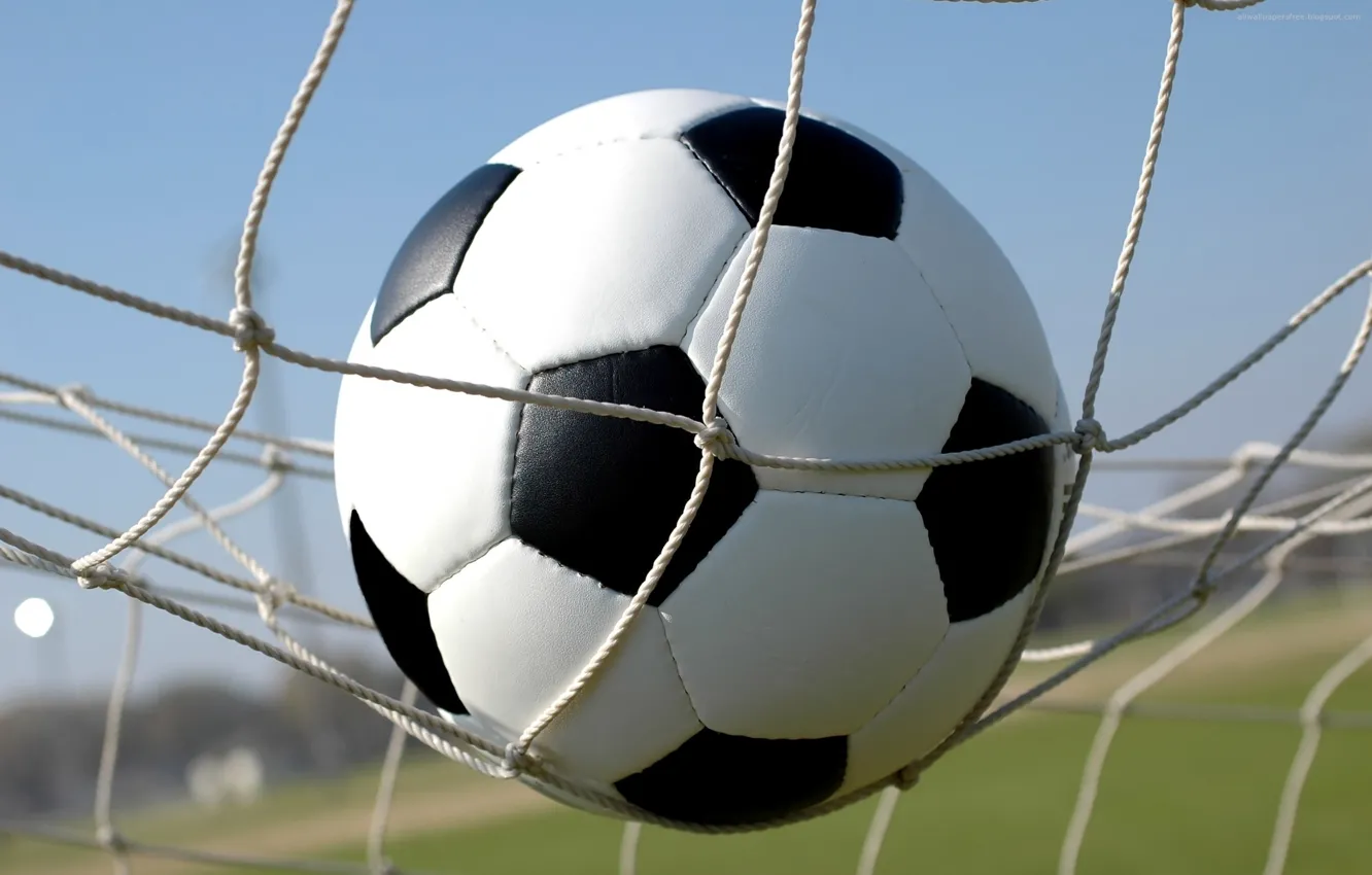 Photo wallpaper mesh, football, the ball