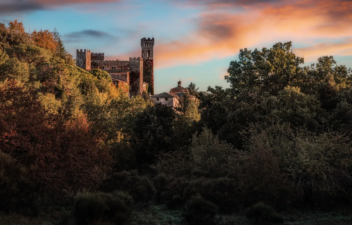 Photo wallpaper forest, clouds, castle, thickets