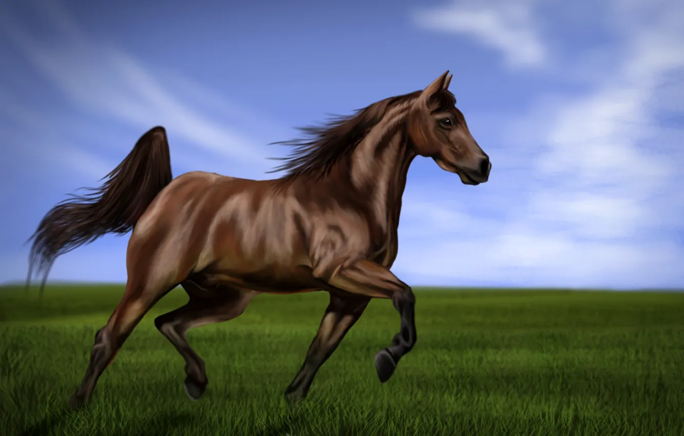 Photo wallpaper the sky, grass, green, horse, shadow, art, mane, tail