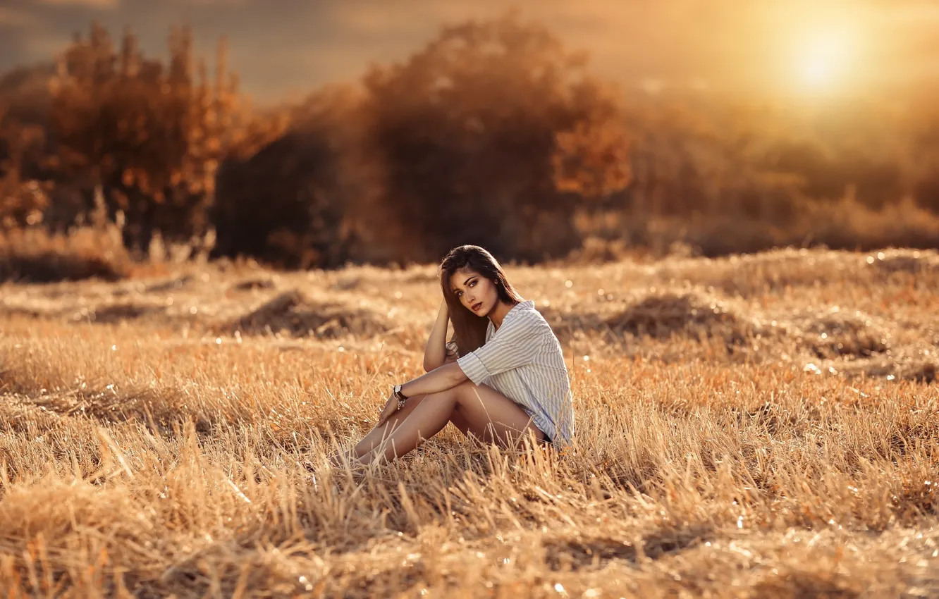 Photo wallpaper field, forest, look, girl, the sun, trees, pose, makeup