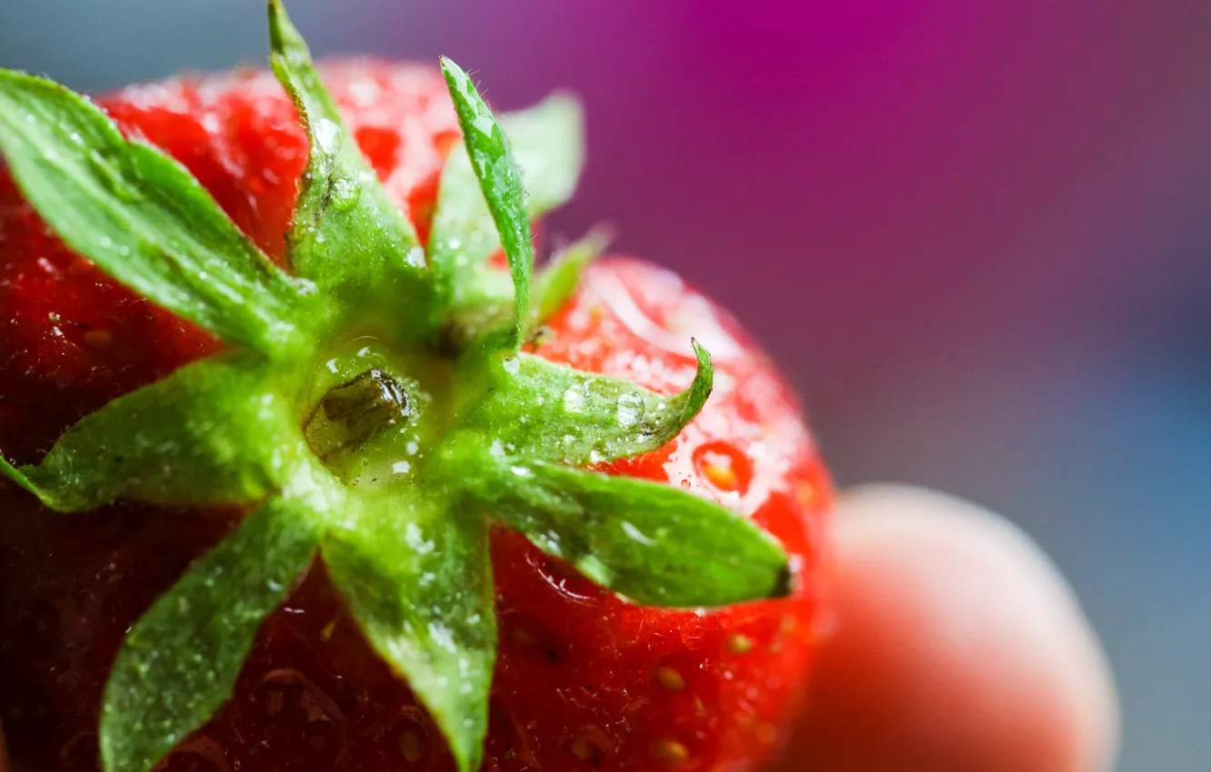 Photo wallpaper drops, macro, strawberry, Colorful, Strawberry, the fruit