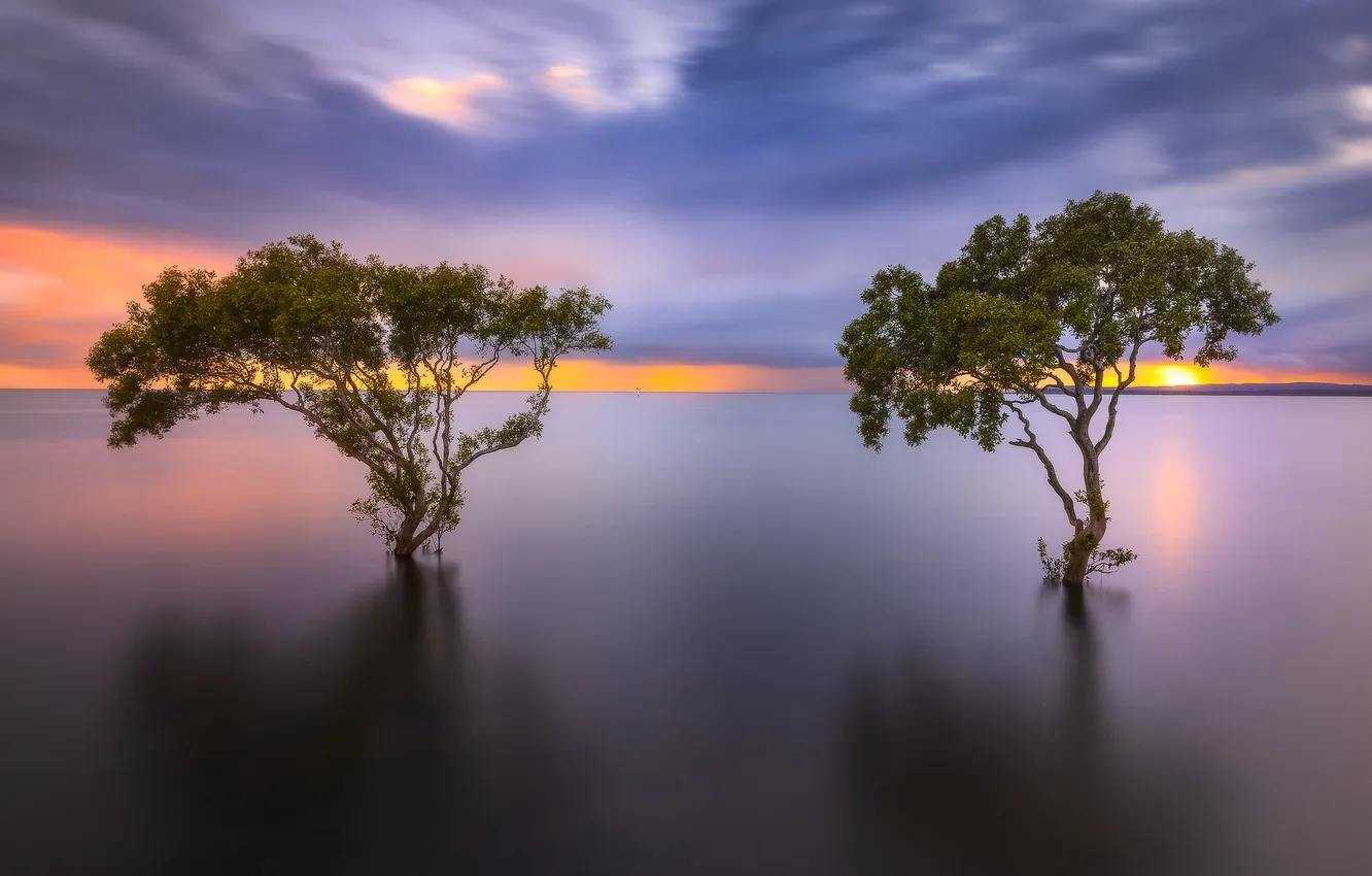 Photo wallpaper the sky, clouds, trees, sunset, lake, reflection, the evening, Duo