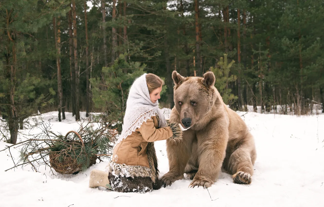 Photo wallpaper winter, forest, girl, bear