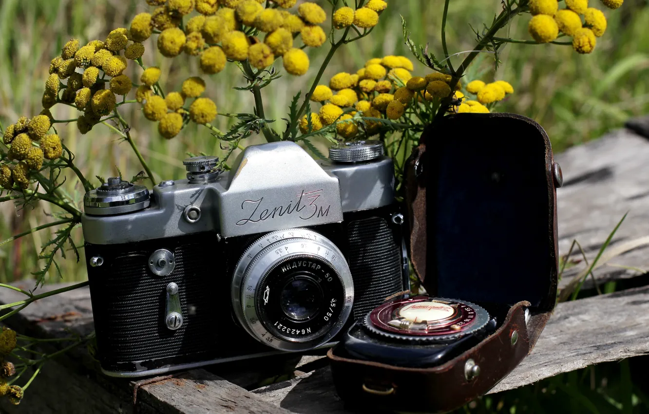 Photo wallpaper flowers, background, the camera, mirror, case, Soviet, Mimosa, single lens reflex cameras