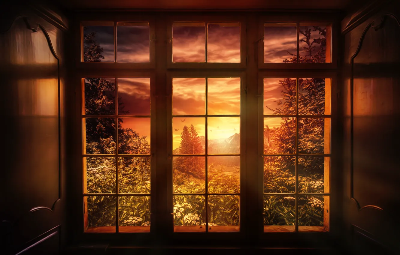 Photo wallpaper sunset, nature, treatment, window, Good night