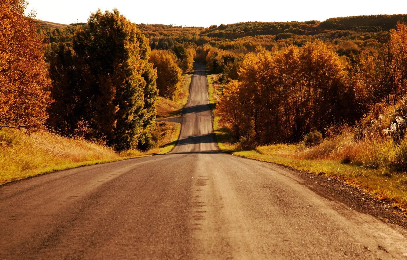 Photo wallpaper road, autumn, trees, landscape