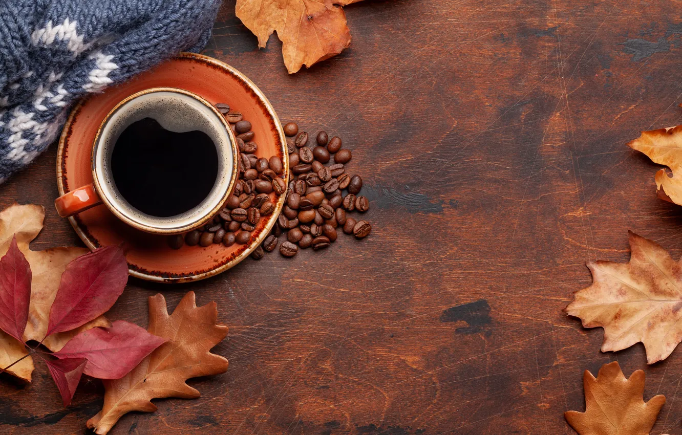 Photo wallpaper autumn, leaves, grain, wood, autumn, leaves, cup, beans