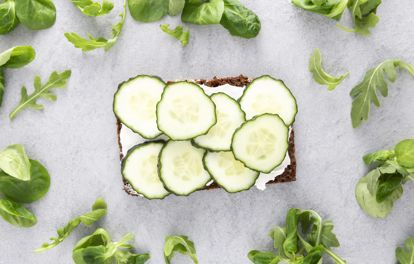 Photo wallpaper greens, leaves, grey background, slices, cutting, fresh, cucumbers, cheese