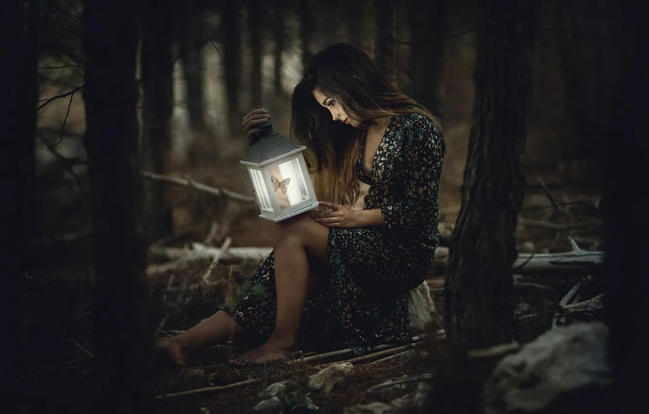 Photo wallpaper forest, girl, lights, twilight