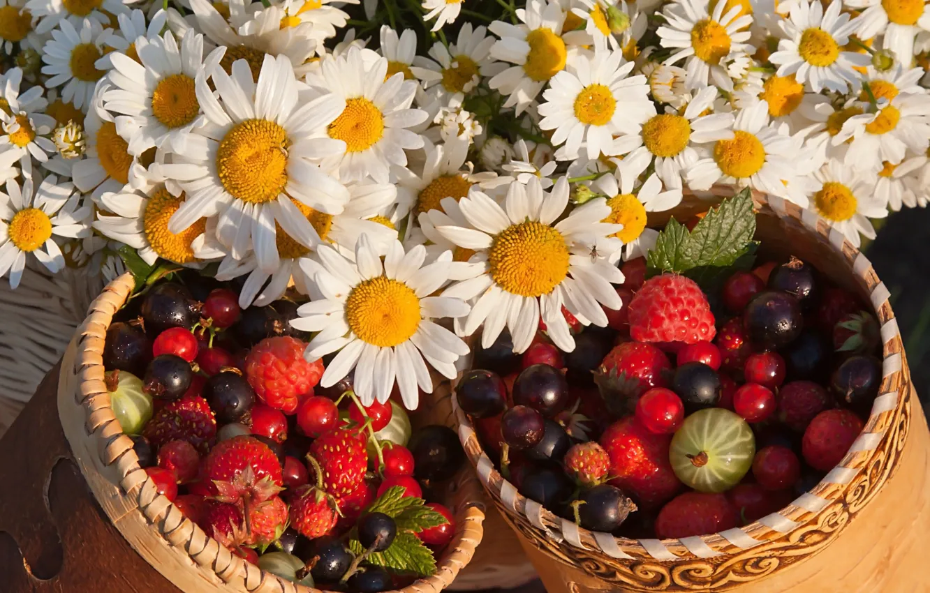 Photo wallpaper flowers, berries, chamomile, strawberries