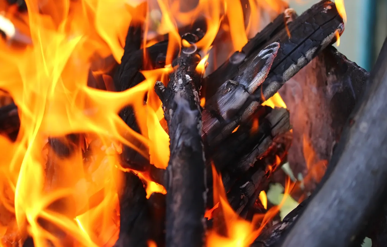 Photo wallpaper fire, wood, grill