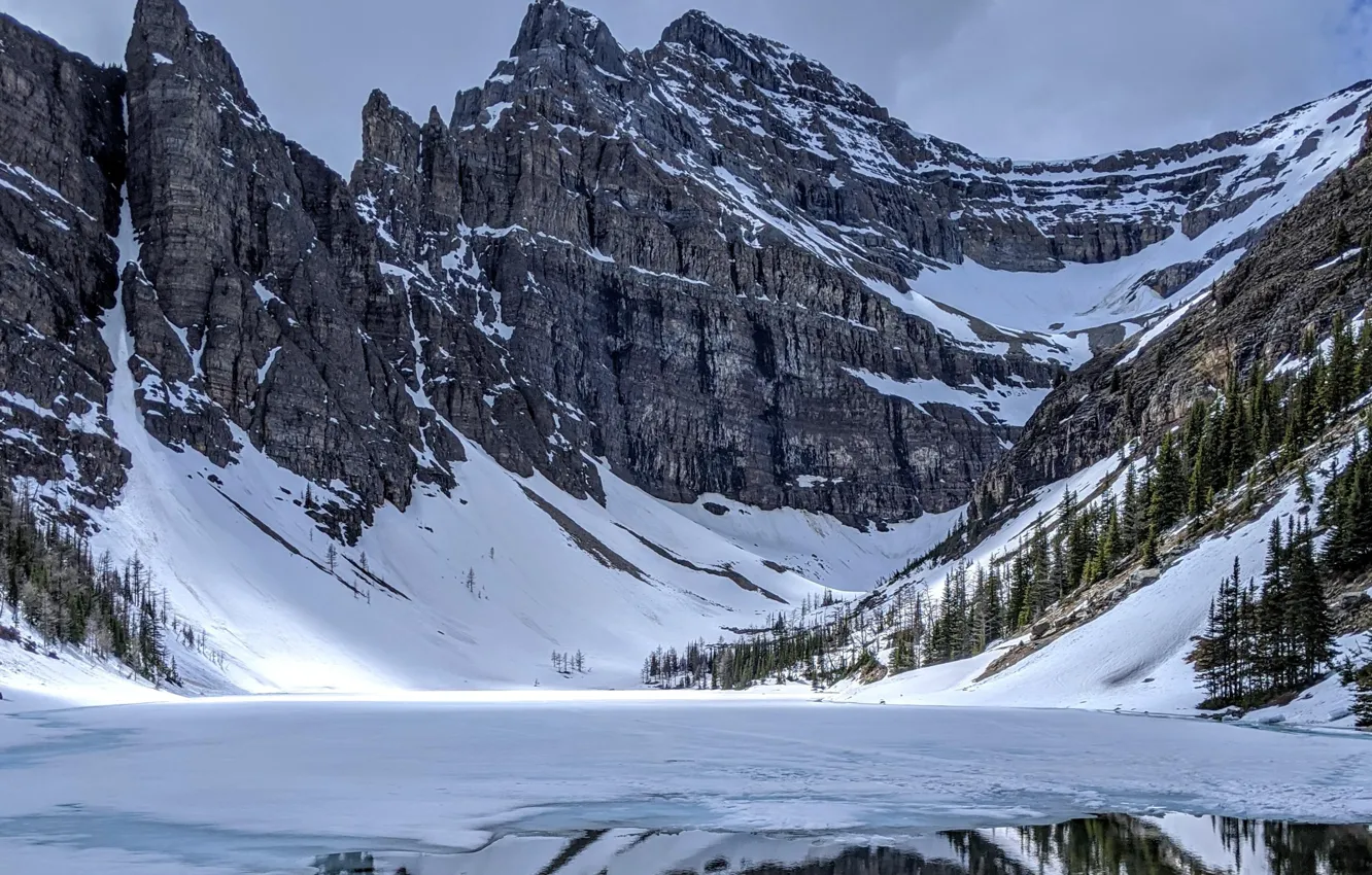 Photo wallpaper winter, the sky, snow, trees, mountains, clouds, nature, rocks