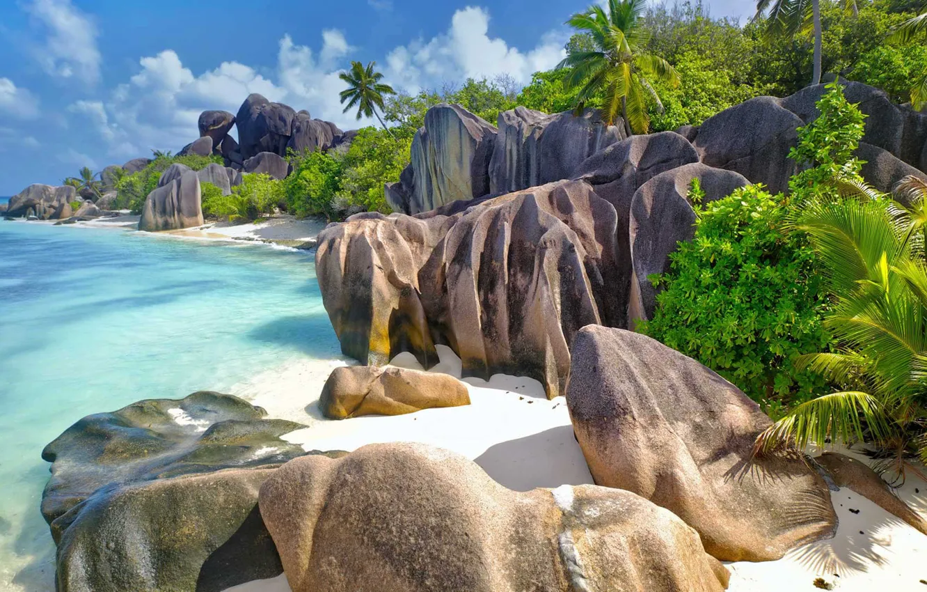 Photo wallpaper sea, stones, palm trees, the ocean, rocks, La Digue island, Seychelles