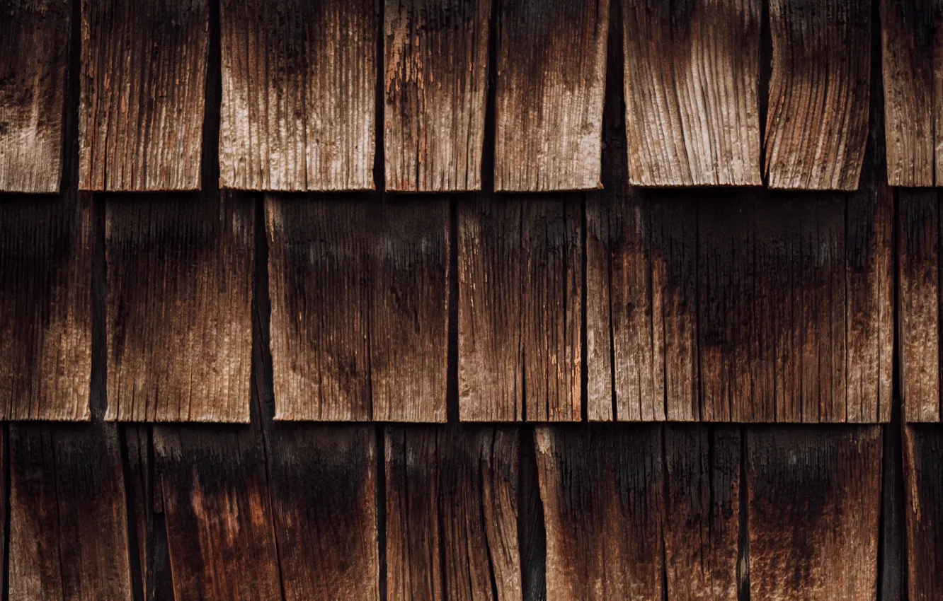 Photo wallpaper tree, Board, texture, wooden