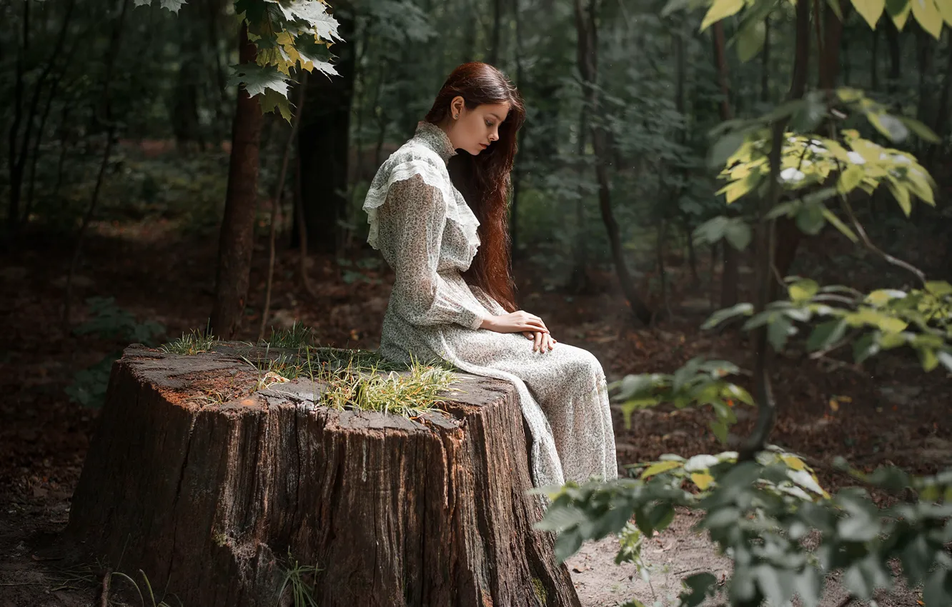 Photo wallpaper forest, stump, dress, Victoria Geller, by Dima Begma