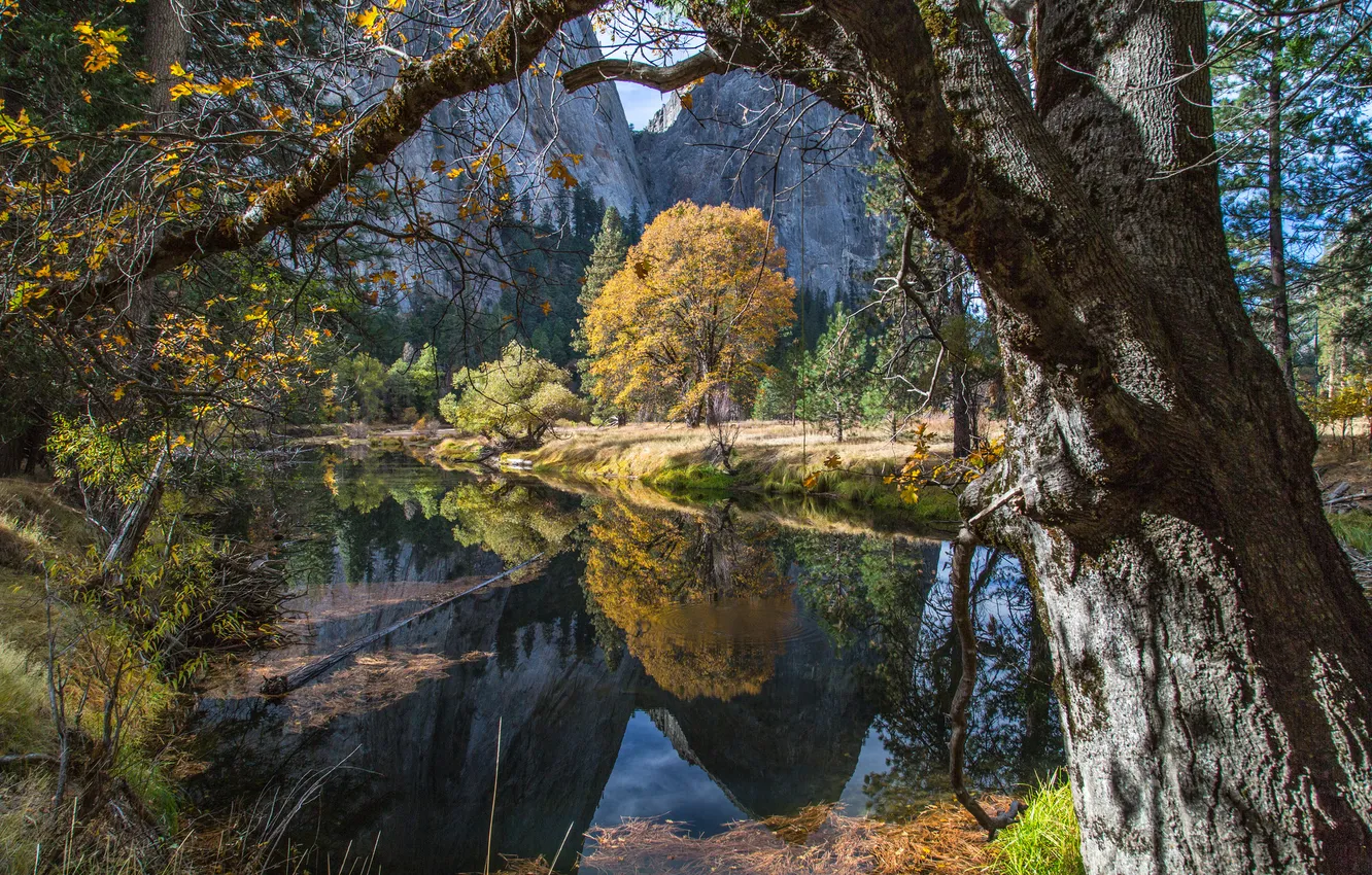 Photo wallpaper autumn, trees, mountains, lake