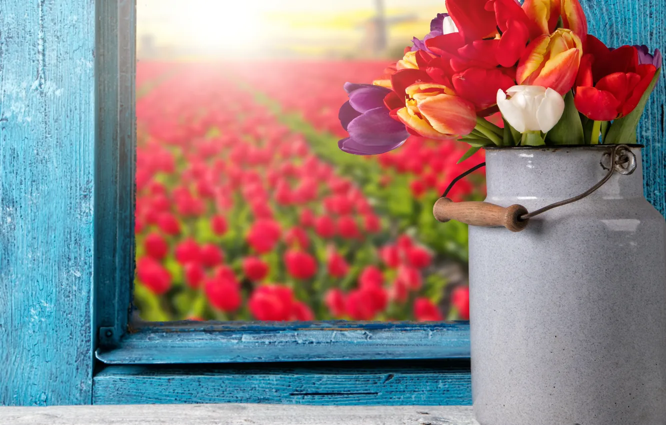 Photo wallpaper colorful, window, tulips, flowers, tulips, window, bouquet