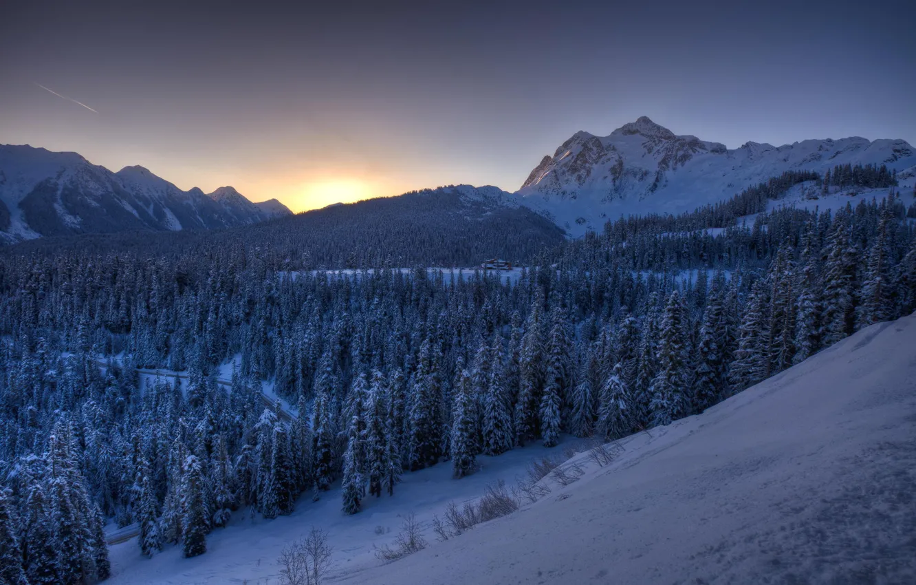 Photo wallpaper winter, forest, snow, mountains, dawn