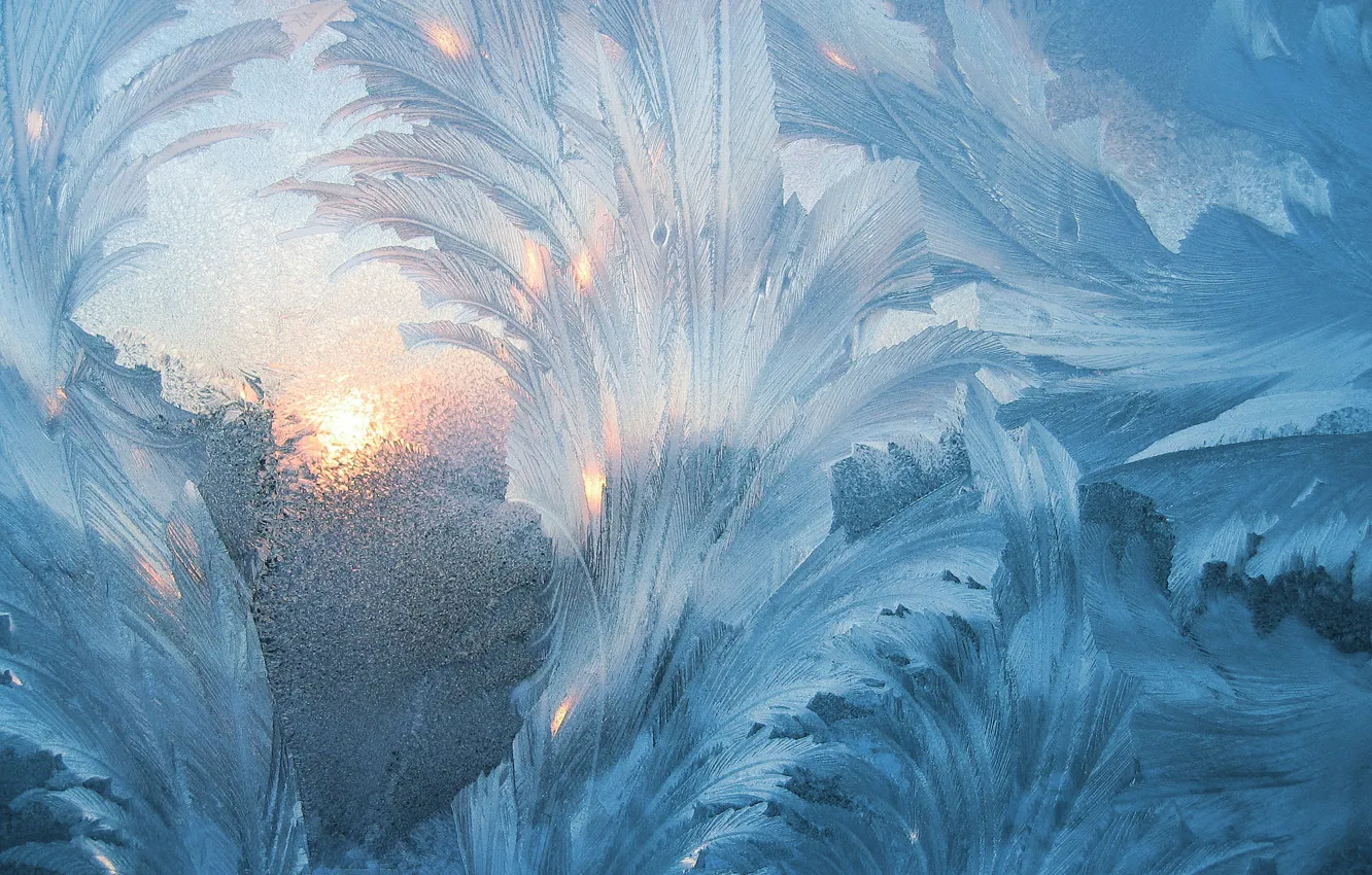 Photo wallpaper cold, winter, frost, glass, leaves, the sun, light, snow