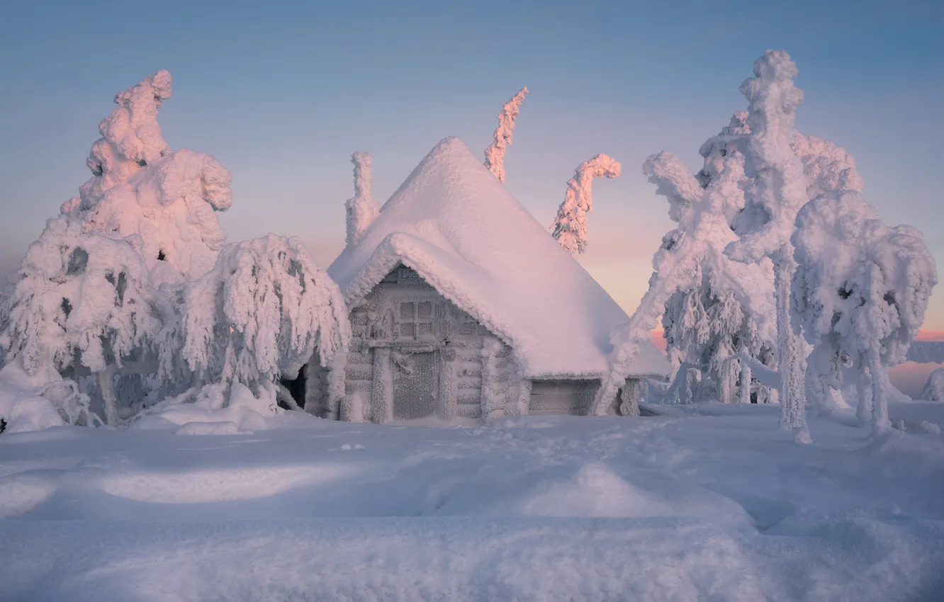 Photo wallpaper winter, snow, trees, hut, the snow, house, Finland, Lapland
