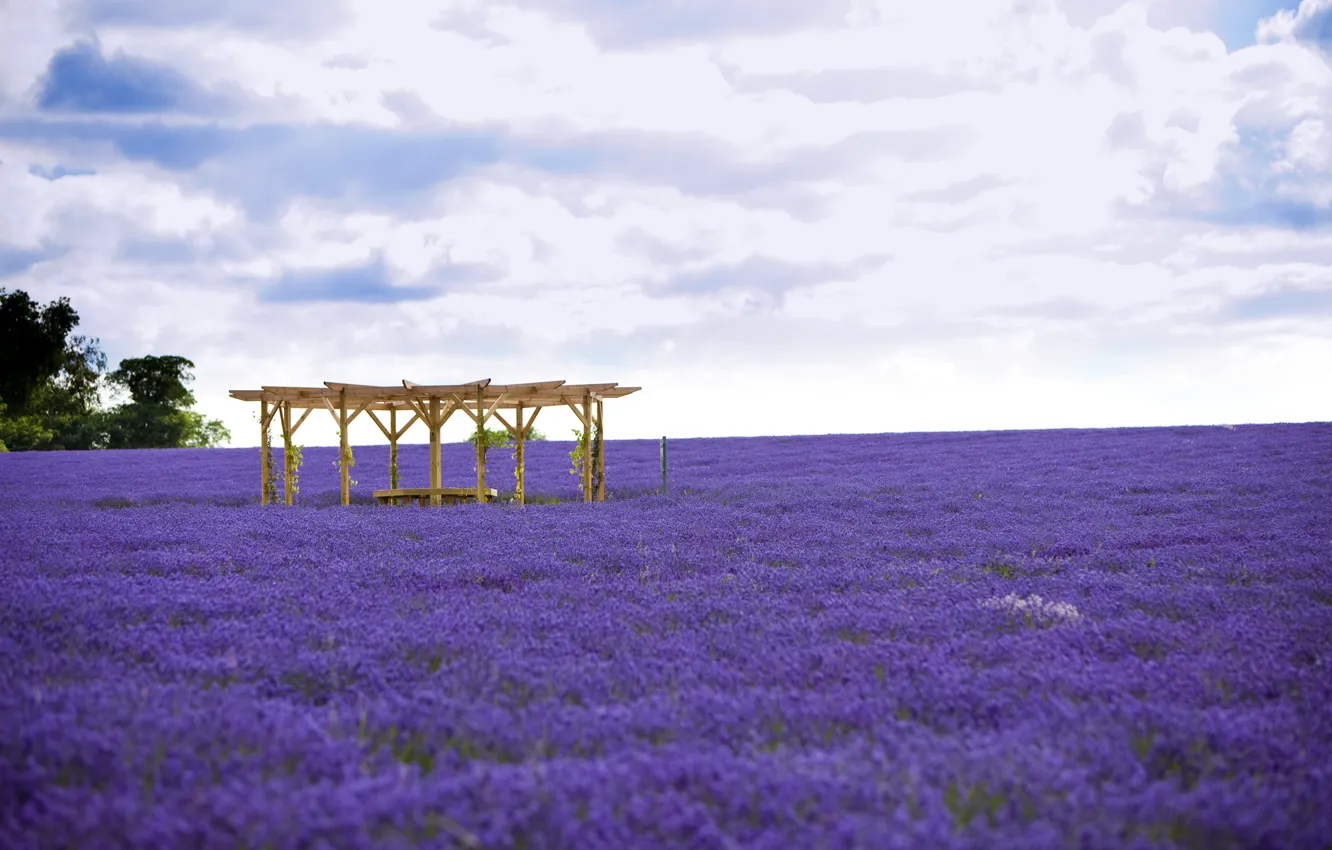 Photo wallpaper field, gazebo, lavender
