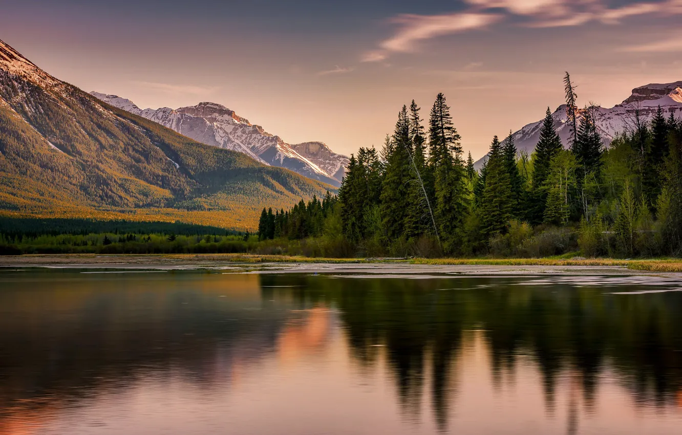 Photo wallpaper forest, the sky, clouds, mountains, reflection, shore, the slopes, the evening
