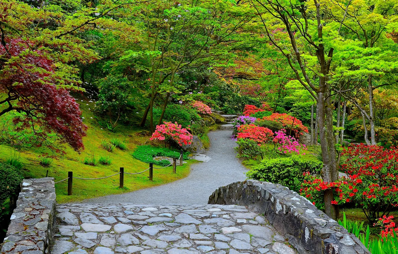 Photo wallpaper garden, Seattle, USA, Seattle, Washington, Kubota Garden