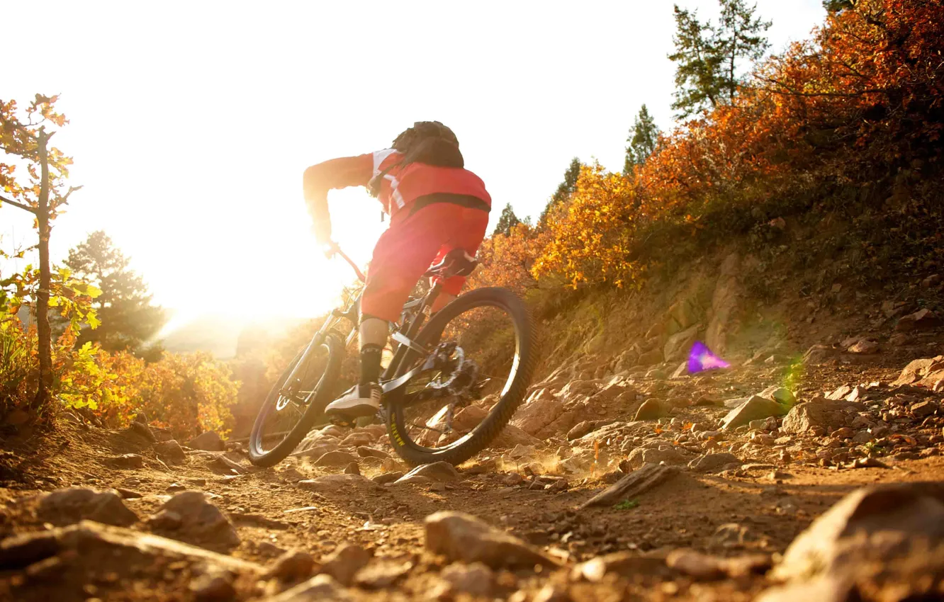 Photo wallpaper nature, athlete, Cycling, mountain bike