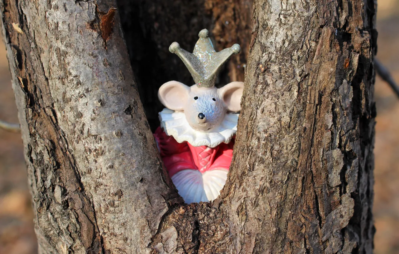 Photo wallpaper look, light, background, tree, toy, crown, mouse, mouse