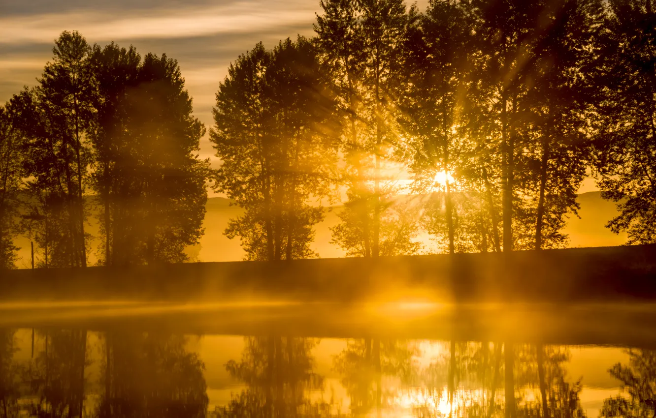 Photo wallpaper the sky, the sun, rays, trees, landscape, sunset, river, Canada