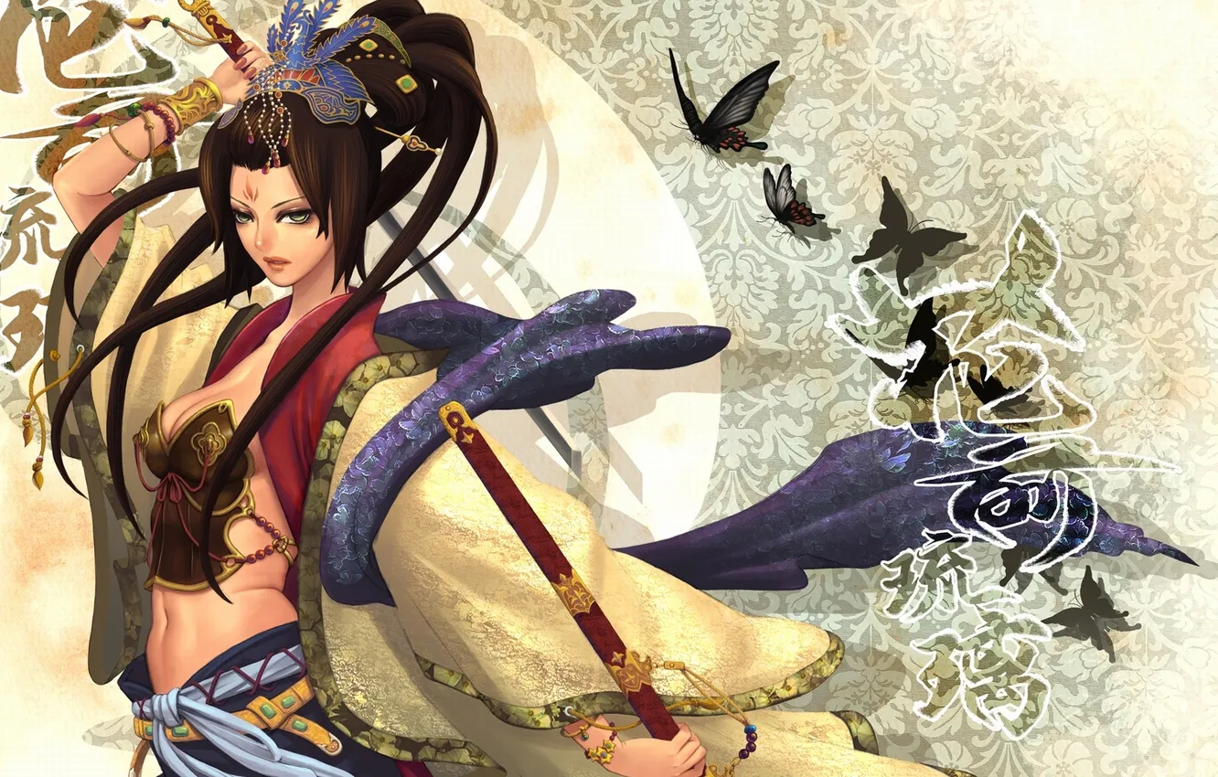 Photo wallpaper girl, weapons, the inscription, pattern, butterfly, sword, katana, characters