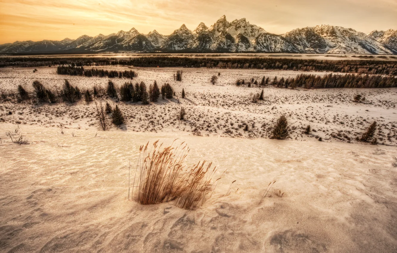 Photo wallpaper winter, snow, mountains, USA, mountain range, panorama