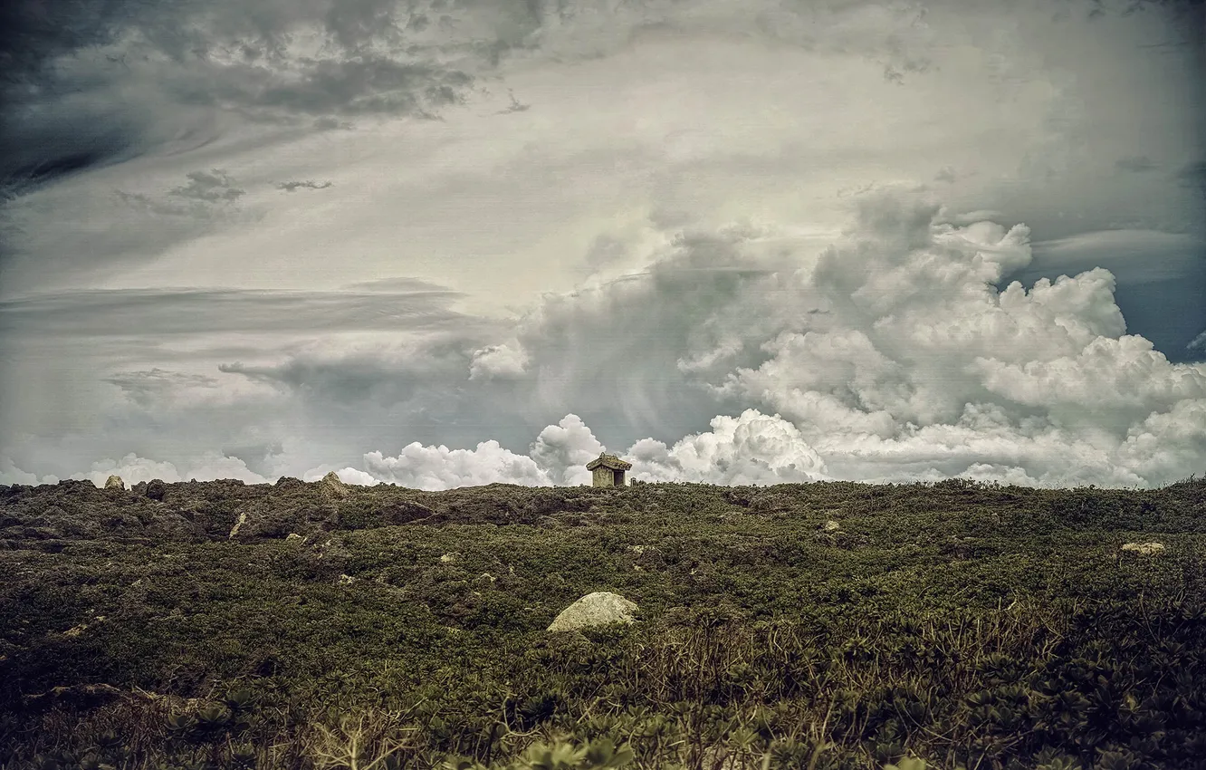 Photo wallpaper field, the sky, clouds, housing