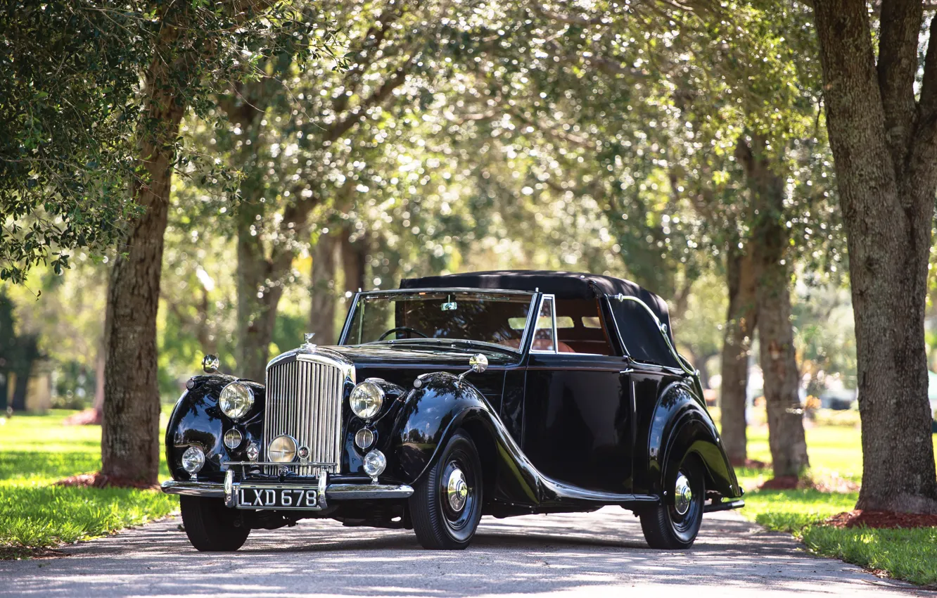 Photo wallpaper summer, trees, Bentley, Retro, car, Drophead, Mark VI